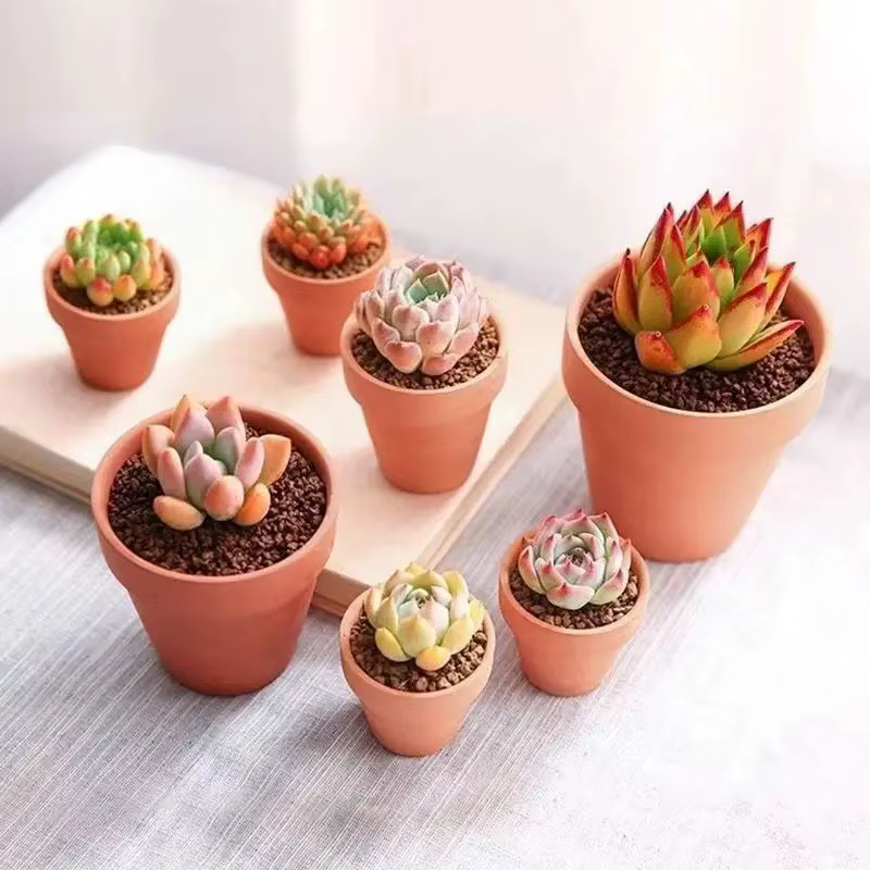 Poterie en terre cuite avec trou de proximité