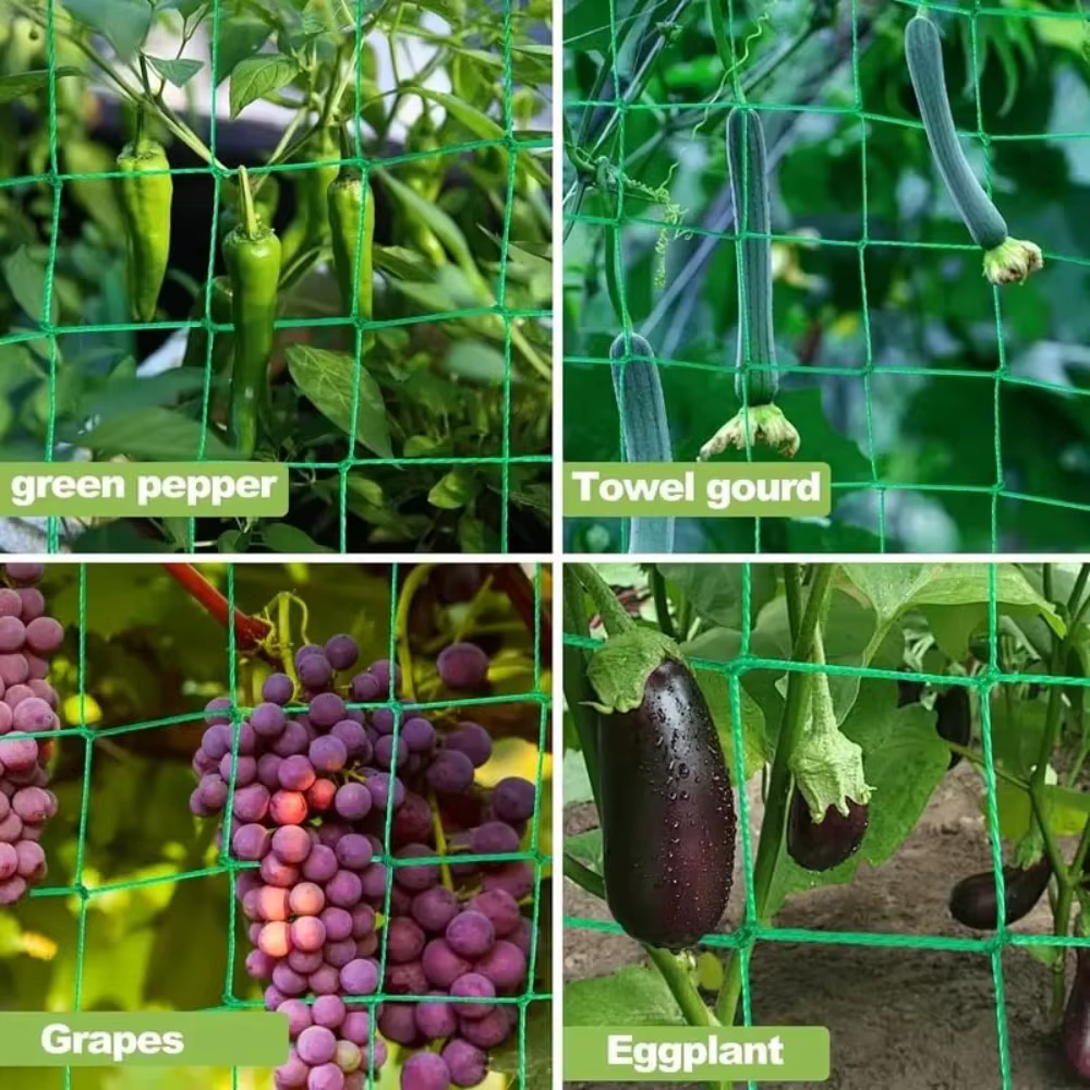 Filet de treillis en nylon pour plantes grimpantes de jardin