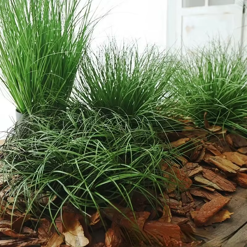 Fausse plante simulée oignon herbe bricolage pseudograss décoration de jardin Pot
