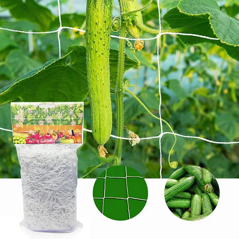 Filet d'escalade en polyester pour plantes de jardin