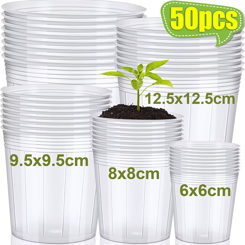 Pot de fleurs Transparent pour plantes