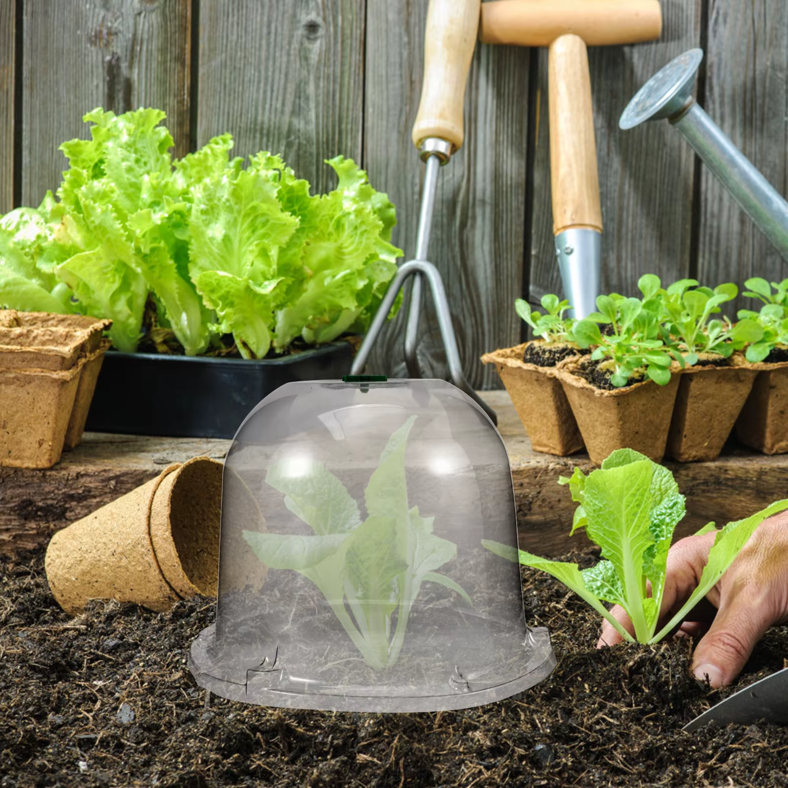 Cloche de jardin en plastique transparente avec ventilation pour protéger les plantes et les légumes contre le gel