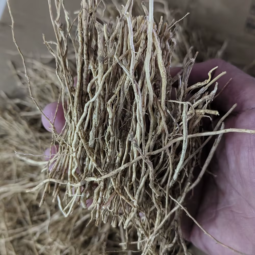 50g VETIVER – Lot de racines parfumées naturelles