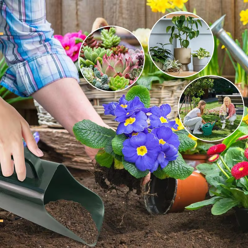 Pelle de jardin avec poignée pour la plantation de plantes succulentes