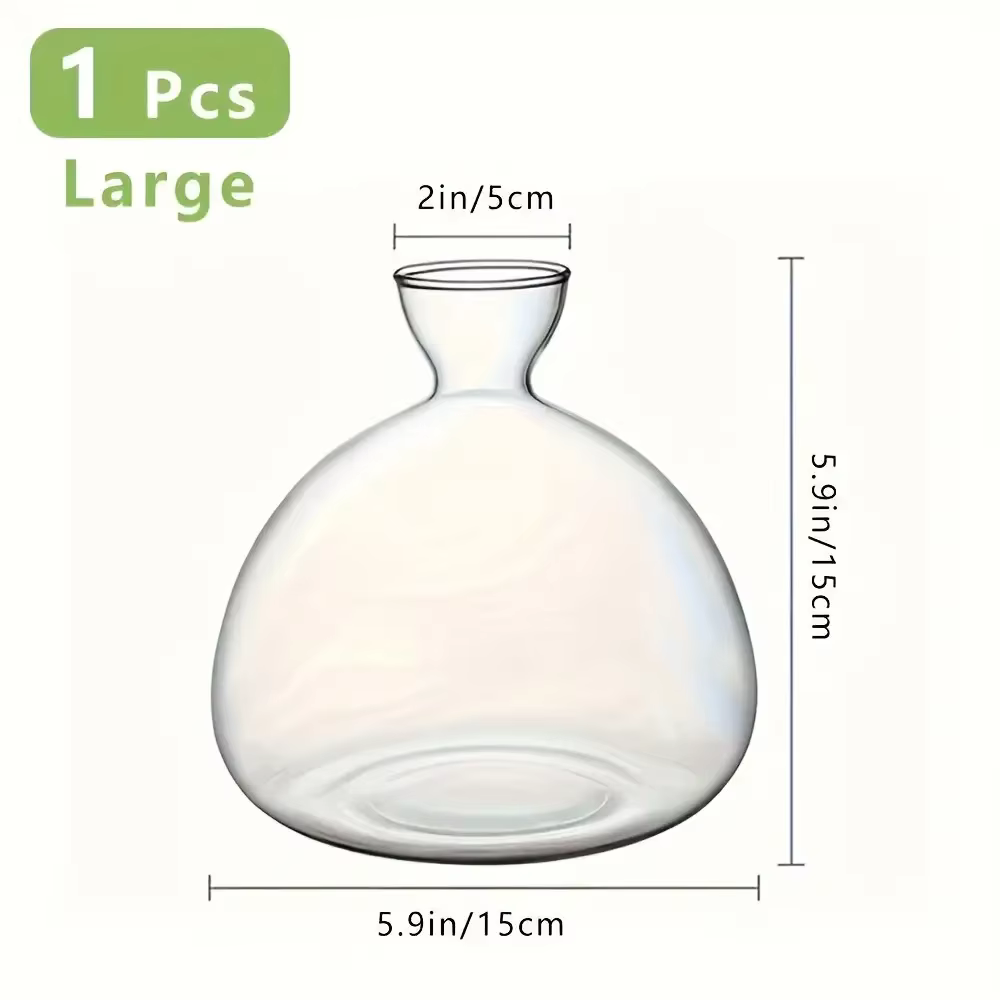 Vase d'avocat pour culture d'ampoule en verre