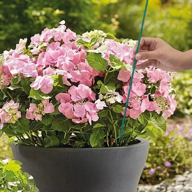 Bâtons de Support pour plantes