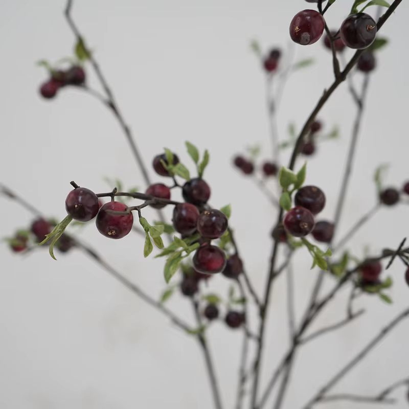 Branche de fleurs de baies pour la décoration de la maison