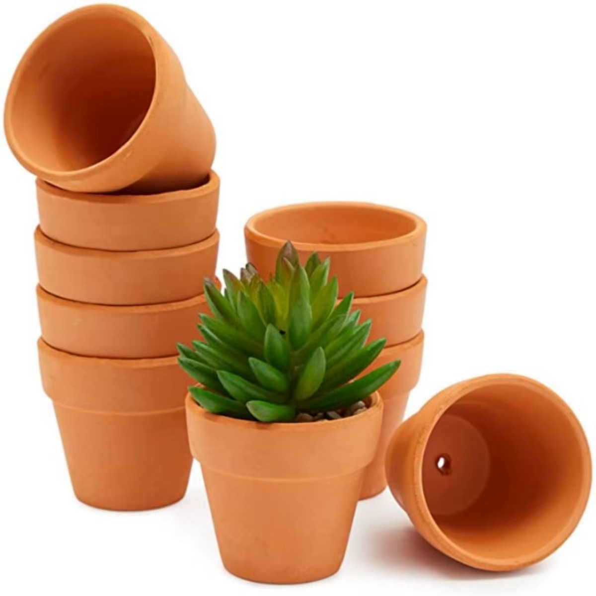 Pots Terra Cotta de 1.8 pouces