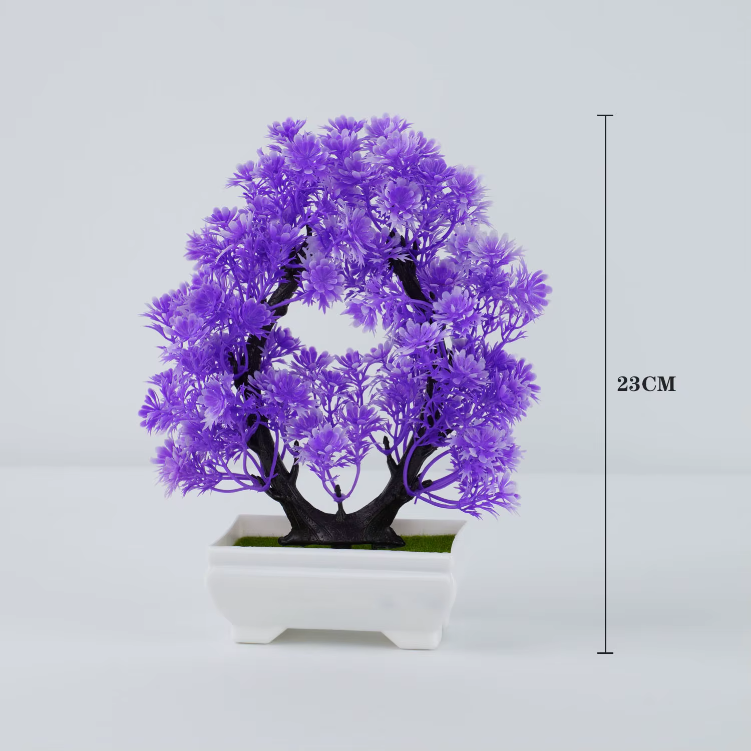 Bonsaï Élen pot, beau petit arbre