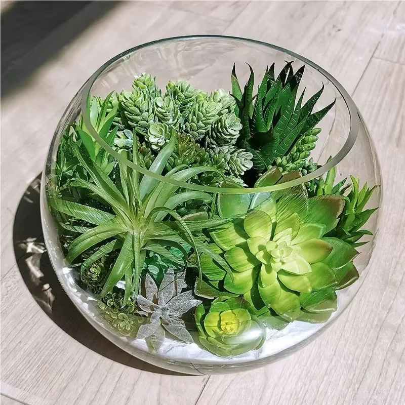 Plantes succulentes en PVC