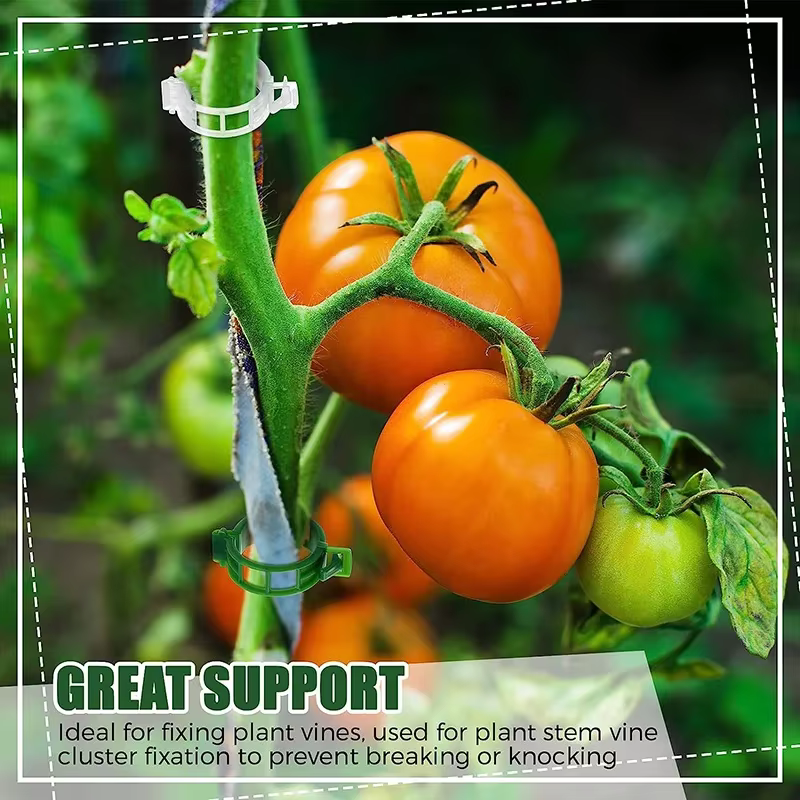 Clips de Support en Plastique pour Plantes de Jardin