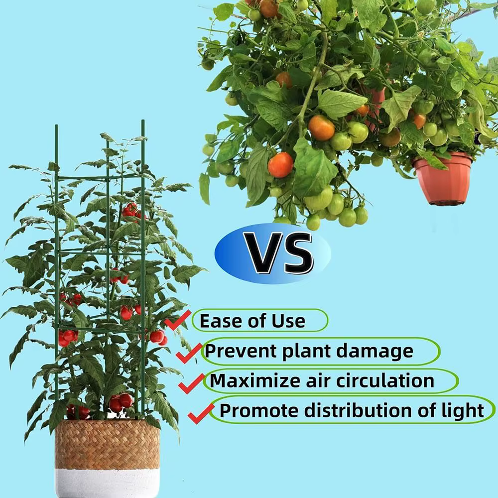 Bras de Piquet de Plante pour Jos de Tomate