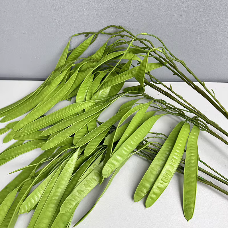 Haricots artificiels au toucher réel