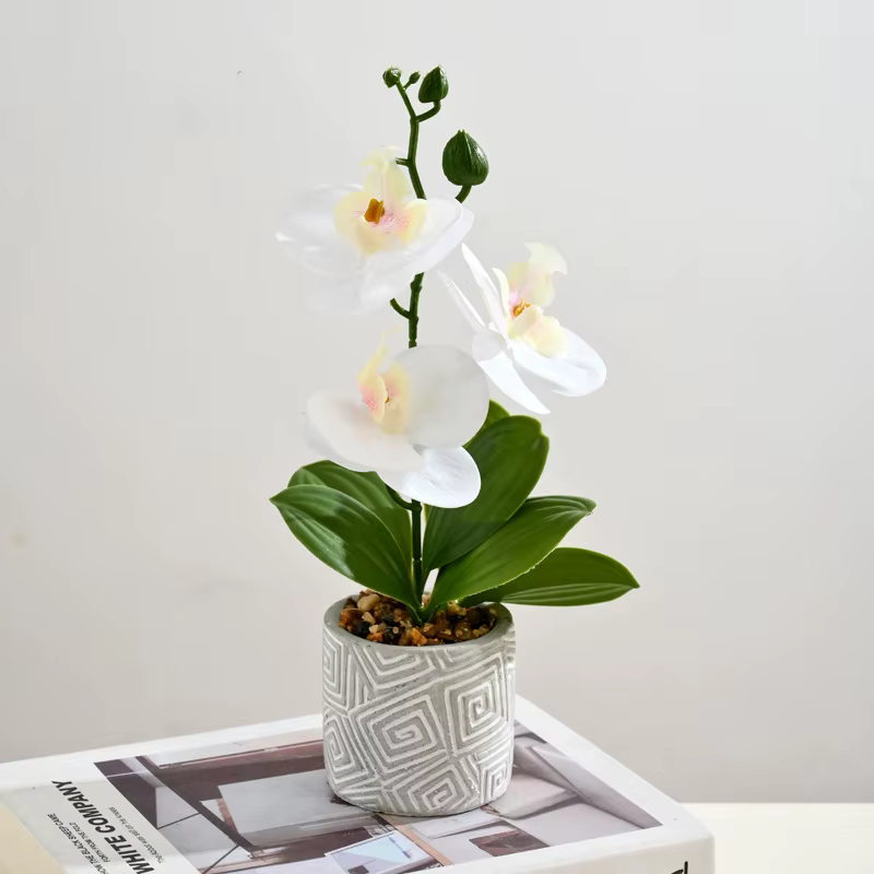 Créatif 3 fleurs et 3 feuilles Phalaenopsis bonsaï Simulation fleur