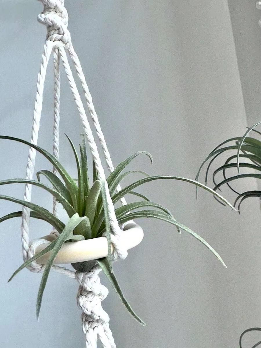 Cintres Muraux en Macramé pour Plantes à Air
