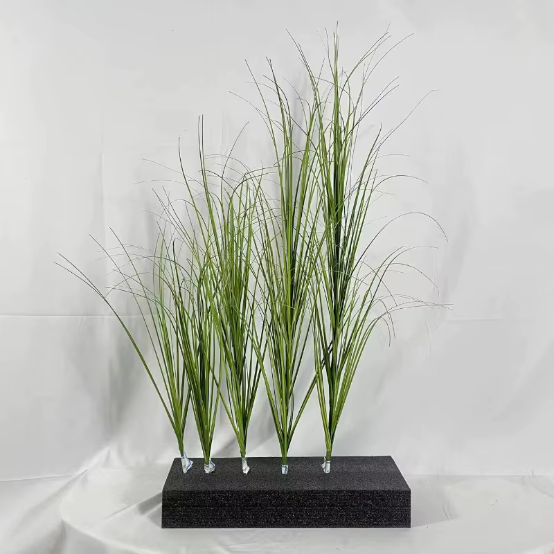 Simulation d'herbe à oignon