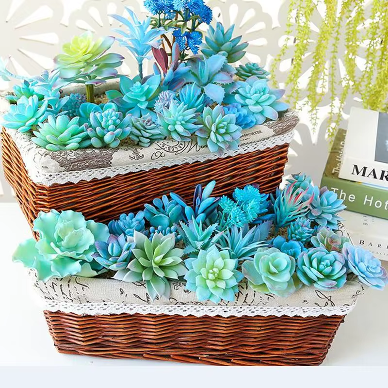 Plantes succulentes artificielles bleues