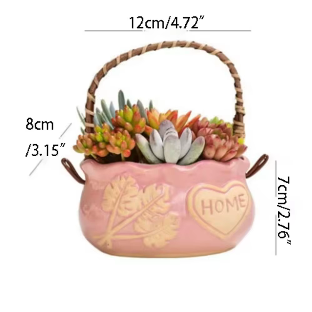 Jardinière succulente en céramique résistante à la Corrosion