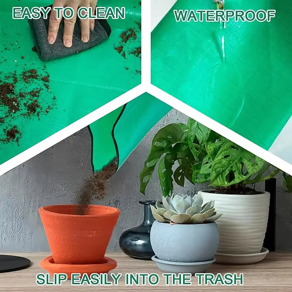 Tapis de régénération des plantes