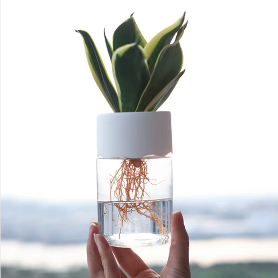 Kit de Pots hydroponiques pour pépinière