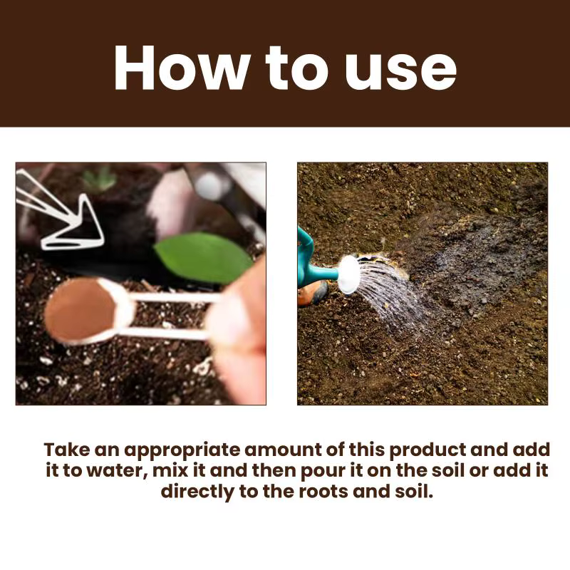Activateur de sol, engrais pour plantes