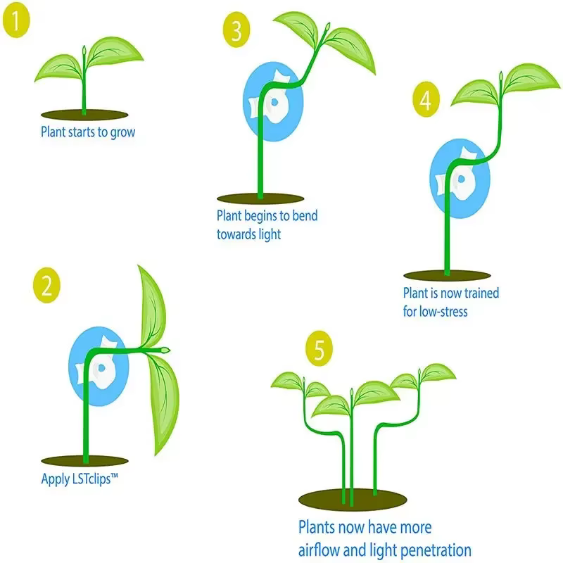 Cintreuse de Branches de plantes