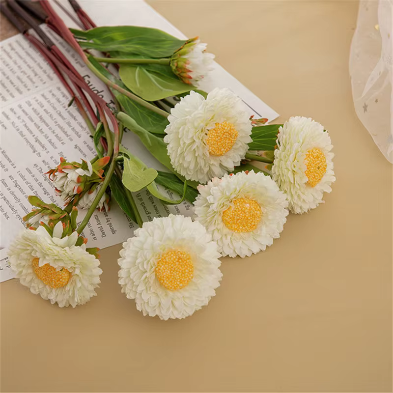 Chrysanthème à branche unique