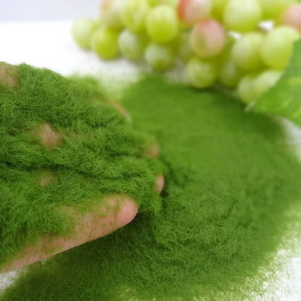 Poudre d'Enge Artificielle pour Décoration de Micro Paysage