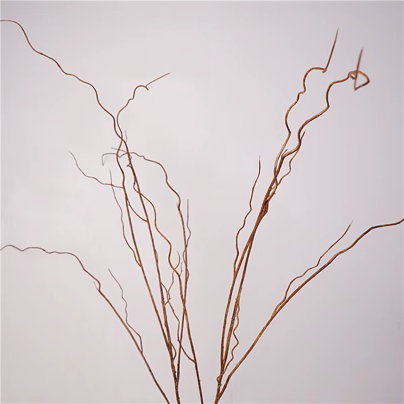Simulation de Branches vaccées