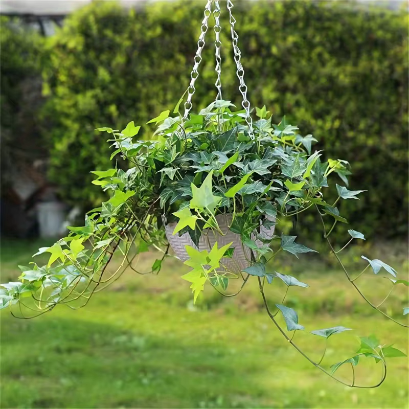 2 pots de fleurs suspendus