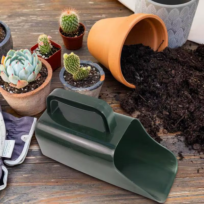 Pelle de jardin avec poignée pour la plantation de plantes succulentes