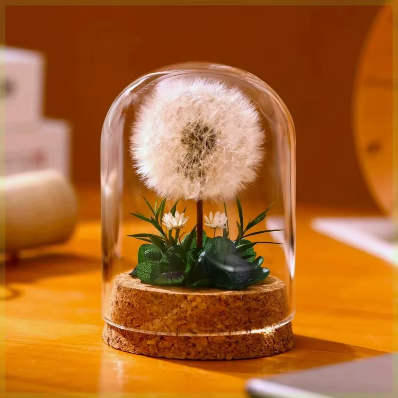 Bouquet de pissenlit séché pour décoration de bureau