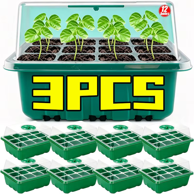 Pot de semis multifonctionnel 6/12 trous avec couvercle