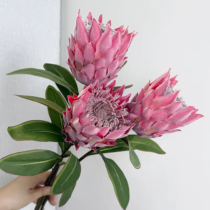 Fleur Bodhi sud-africaine floquée