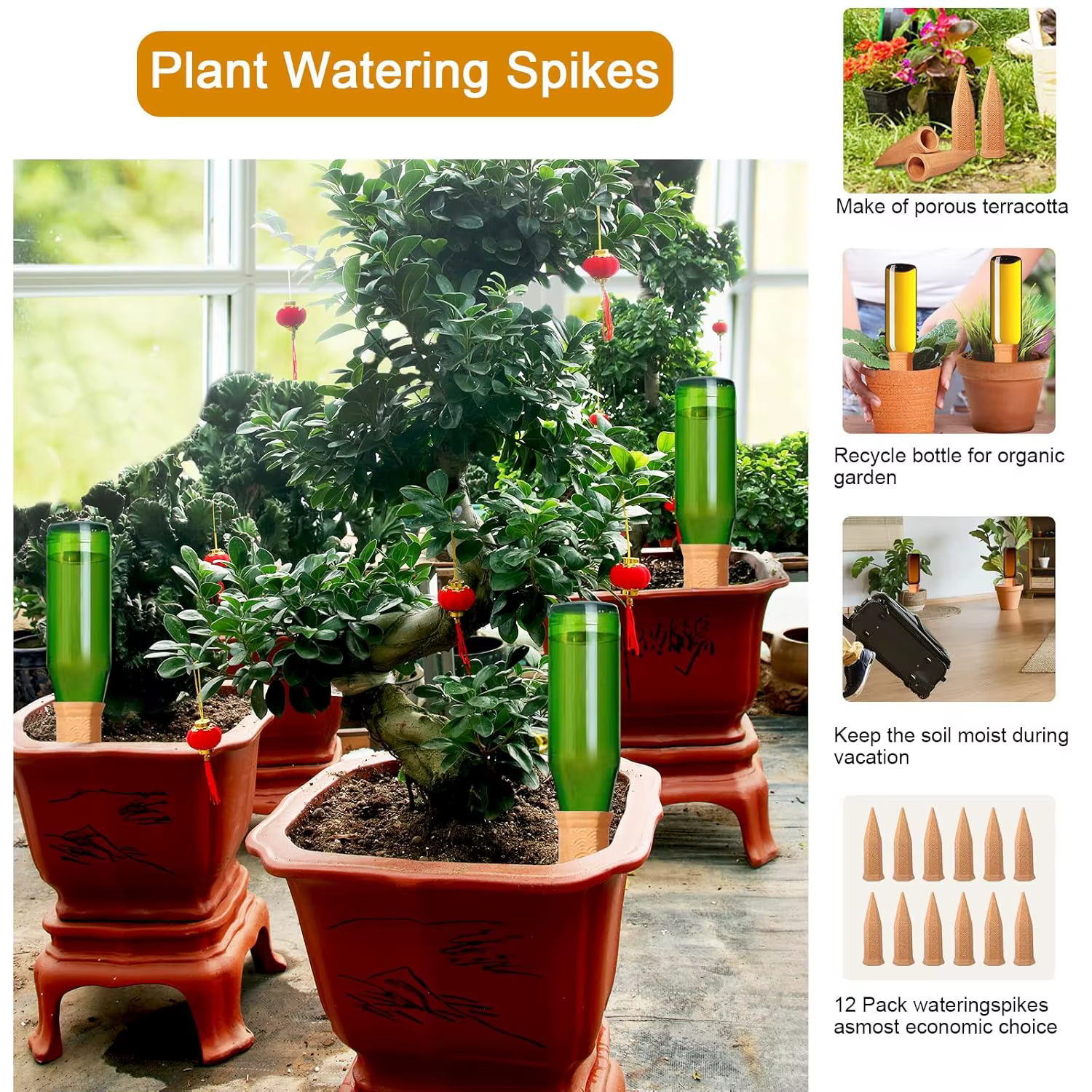 Piques d'arrosage pour plantes d'intérieur et d'extérieur