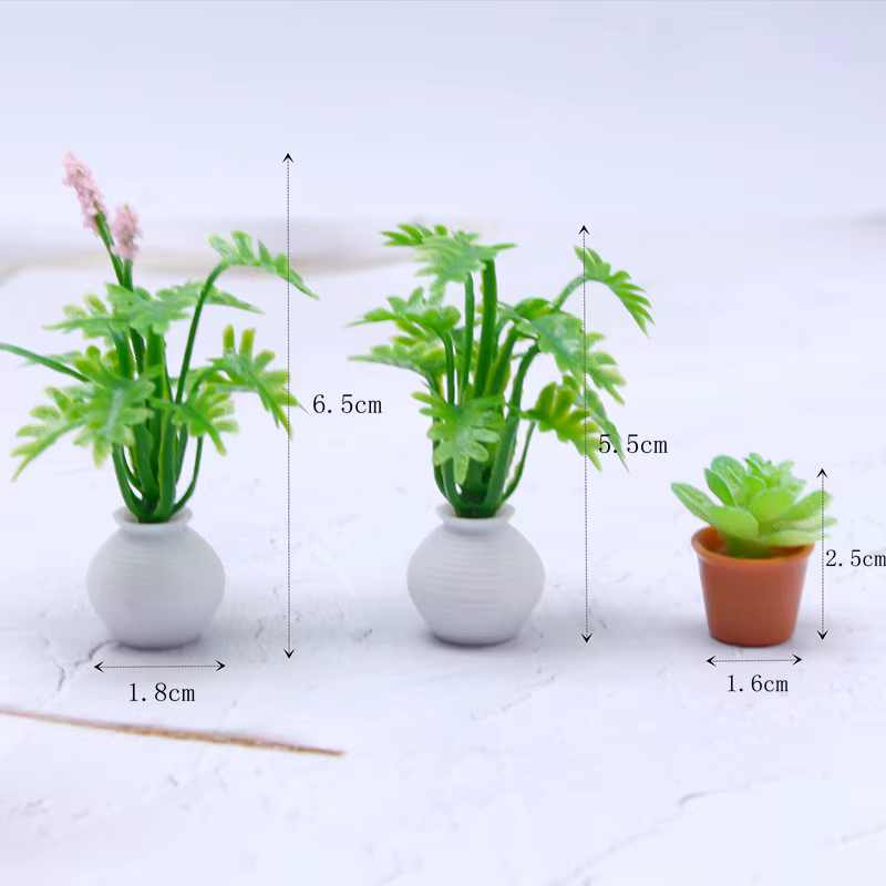 Mini simulation de plante succulente