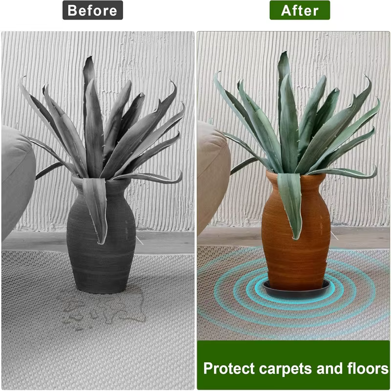 Soucoupes pour plantes de 6