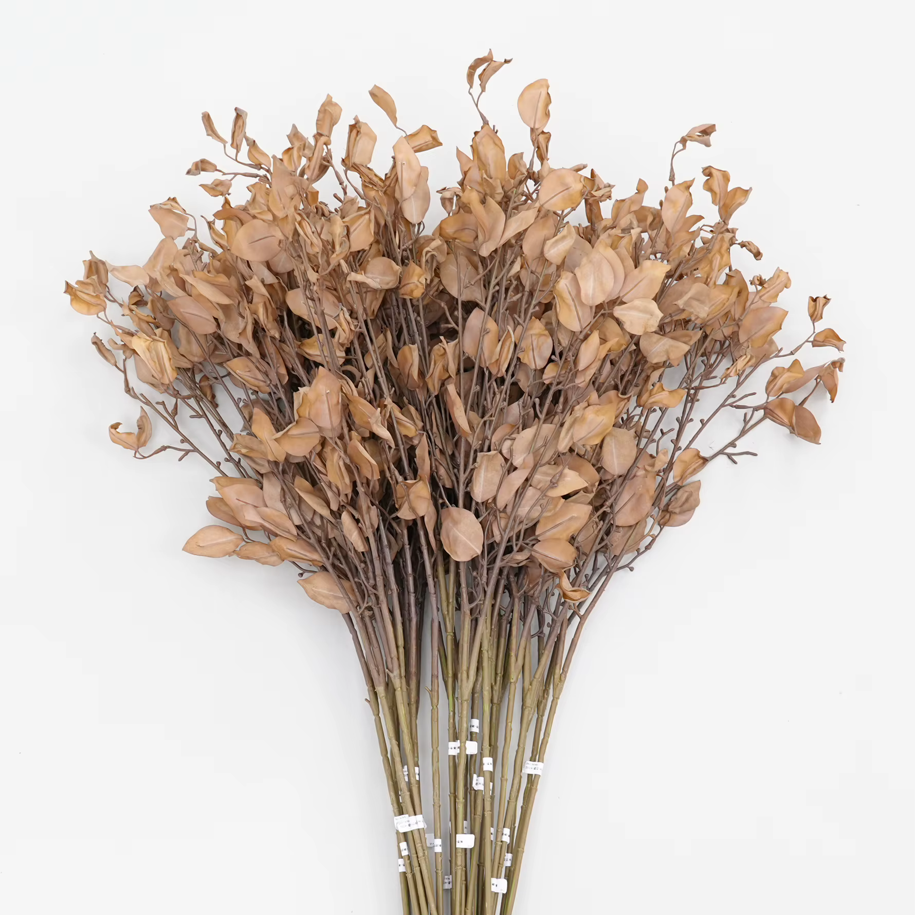 A2024 feuilles jaunes de gingembre branche de plante artificielle maison chambre Vase décor de Table matériel d'arrangement de fleurs de mariage accessoires de tir