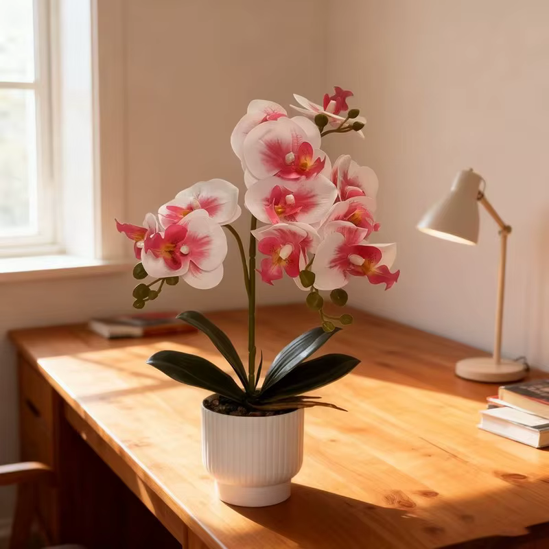 2 fourchettes 12 fleurs papillon orchidée bonsaï maison bureau