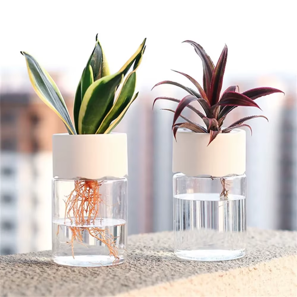 Mini Pot de fleur hydroponique