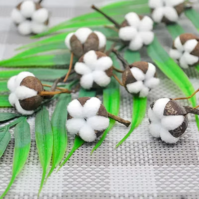Fleurs naturelles séchées en coton Él