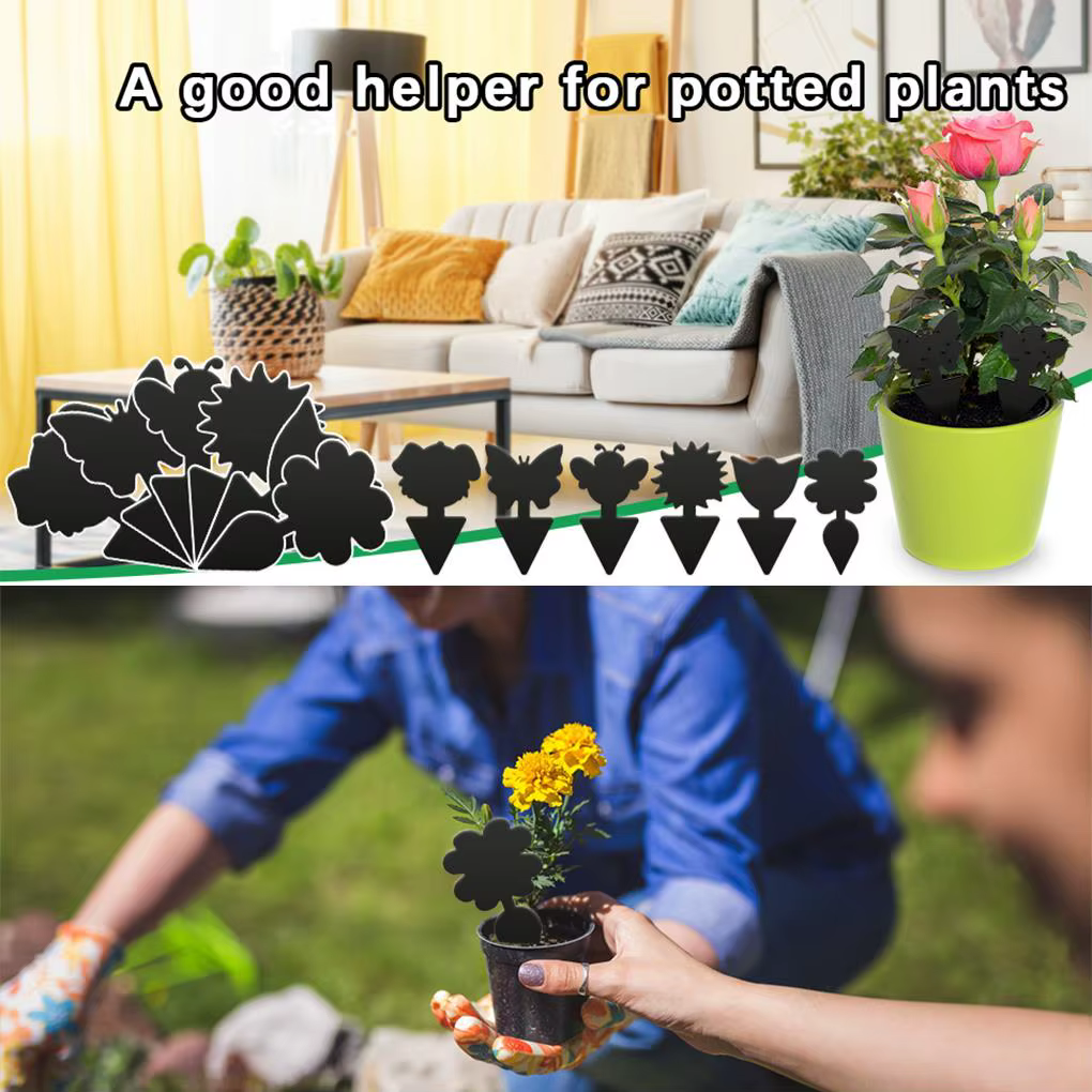 Piège à mouches collantes pour plantes d'intérieur