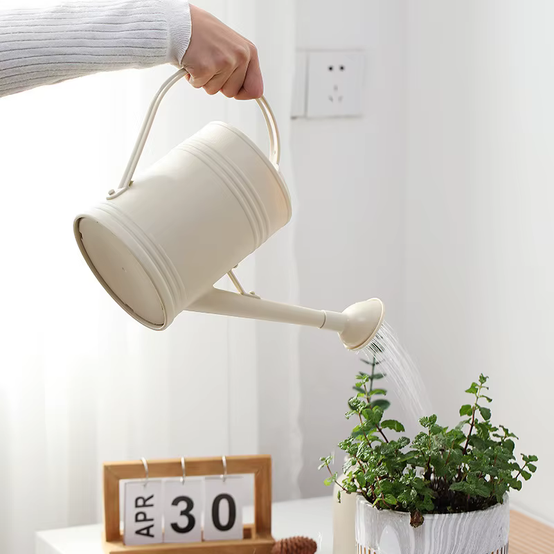 Arrosoir à long bec de 2 L pour fleurs