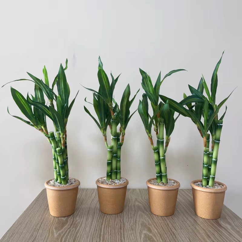 Plante artificielle en bambou porte-bonheur
