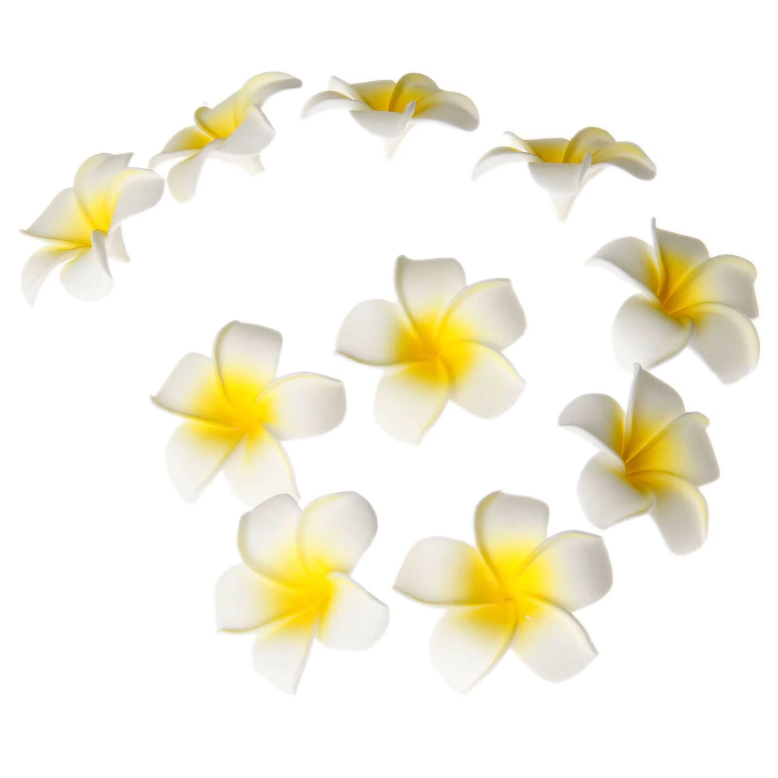 Fausses fleurs de Frangipanier en mousse