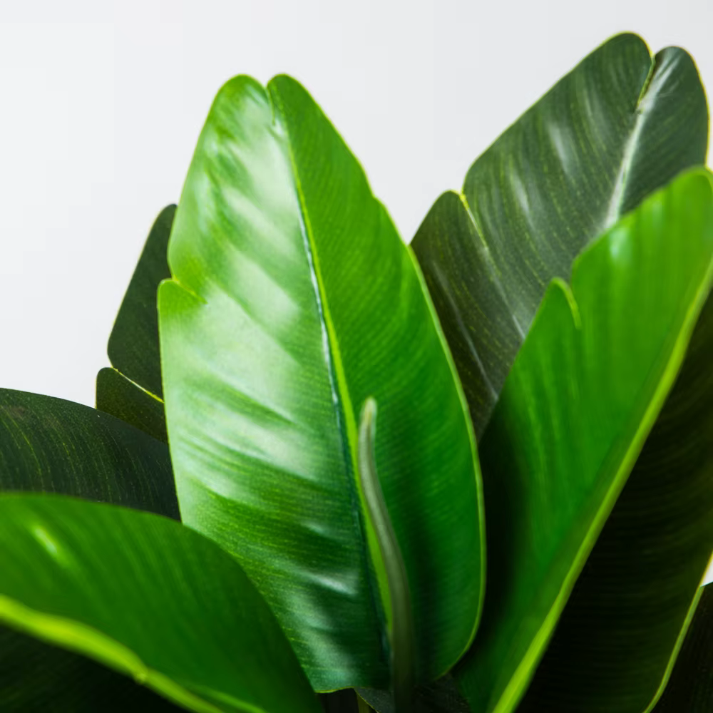 Plantes artificielles de bananiers 37/40 cm