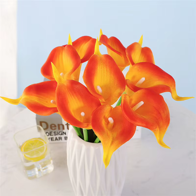 Achetez plus, économisez plus ! - Mini PUCaladium