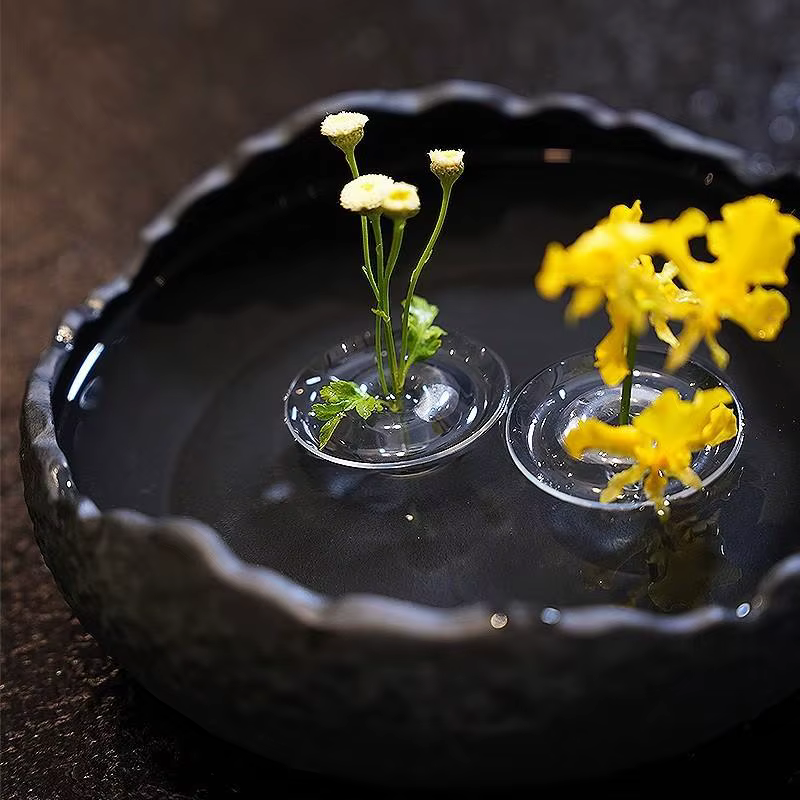 Vase à fleurs flottant en verre : présentoir hydroponique