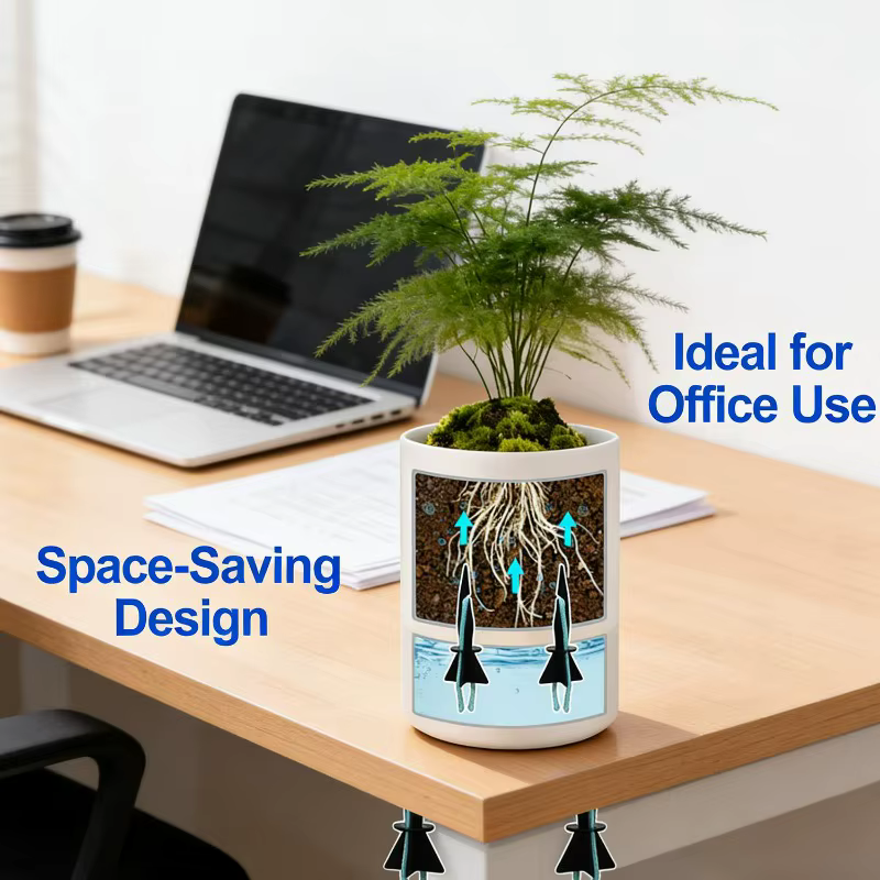 5/50 pièces – Kits d'arrosage automatique pour plantes d'intérieur avec pics absorbants et cordes en coton – Système