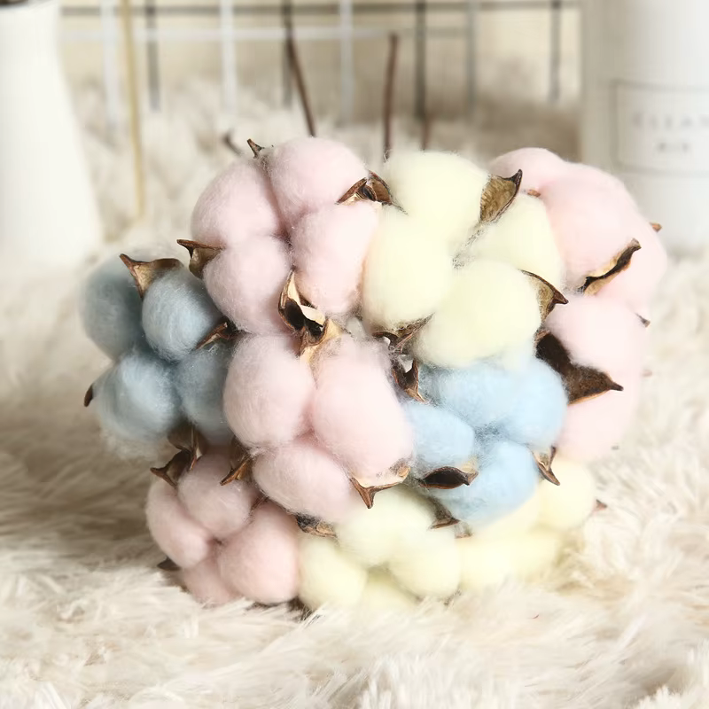 Fleurs de coton séchées naturellement